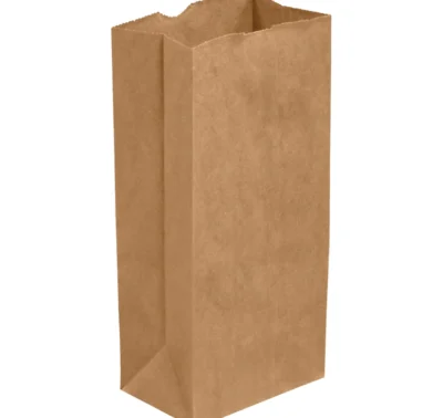 4 5/16 x 2 7/16 x 7 7/8 Kraft Hardware Bags 500/Case